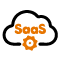 netsuite erp SaaS
